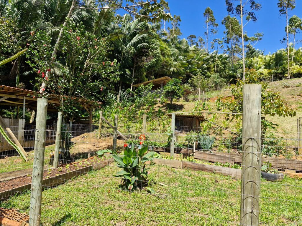 WhatsApp Image 2026-04-08 at 10.55.39 (3)